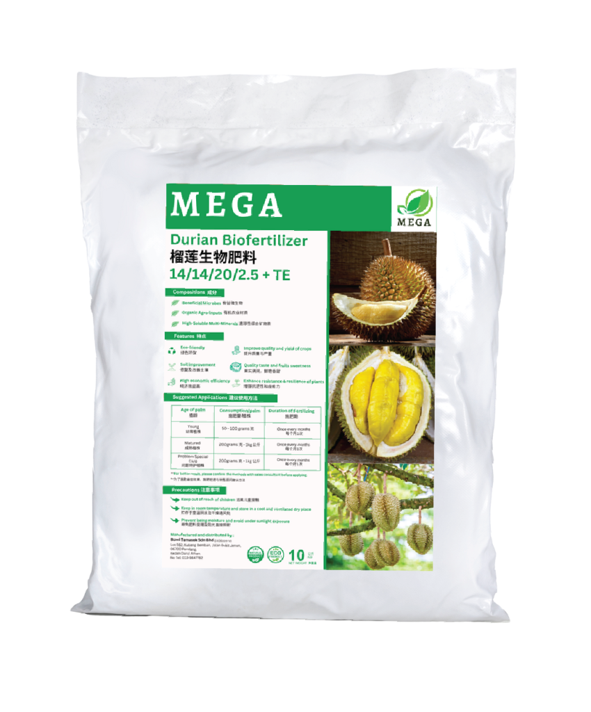 Durian tree nourished by organic biofertiliser