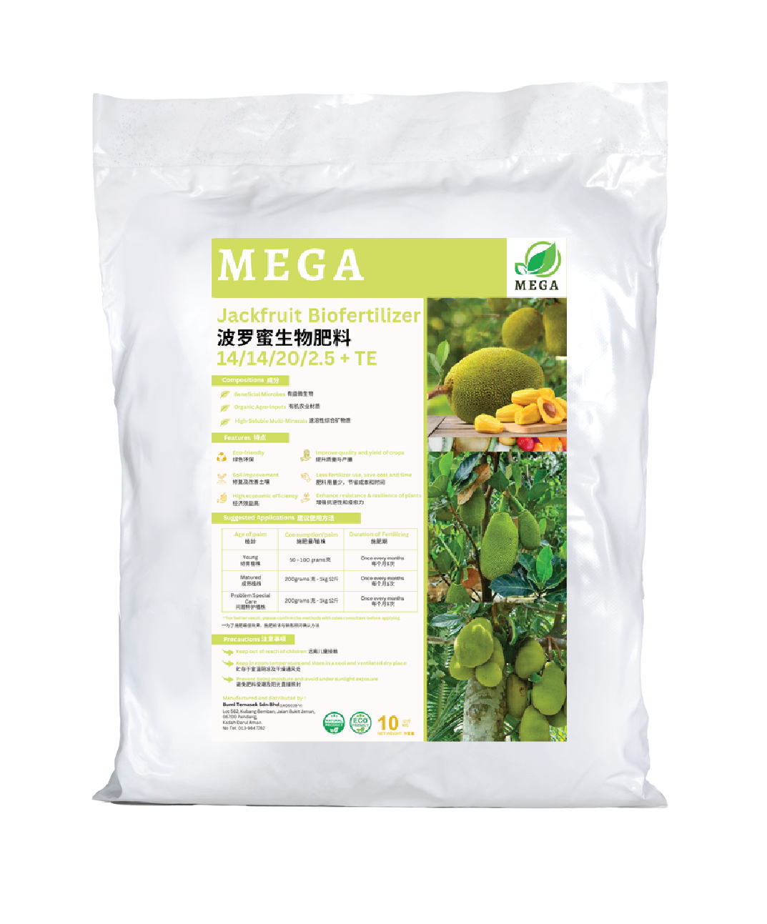 Jackfruit tree nourished by Mega Bio Biofertiliser