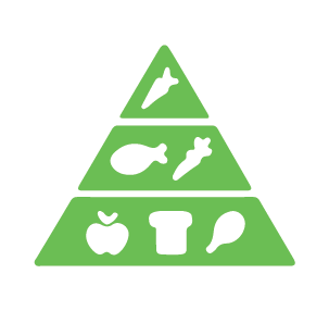 Biofertiliser providing balanced nutrients for crops