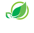 Mega Biofertiliser supporting healthy crop growth